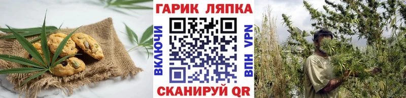 KRAKEN как войти Мураши Cannafood конопля