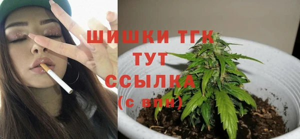 ГАЛЛЮЦИНОГЕННЫЕ ГРИБЫ Алзамай