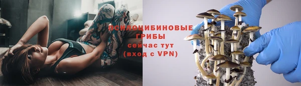 героин Алексин