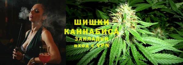 ГАЛЛЮЦИНОГЕННЫЕ ГРИБЫ Алзамай